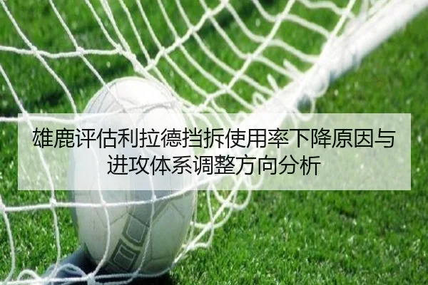 img_1780616753074_1313_1_408.jpg
